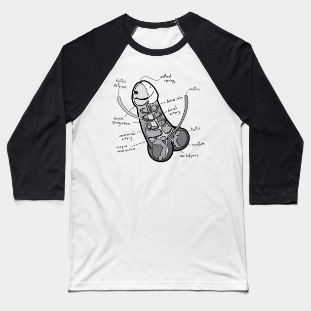 The Anatomy of a Penis - Greyscale Baseball T-Shirt by HotDikkity